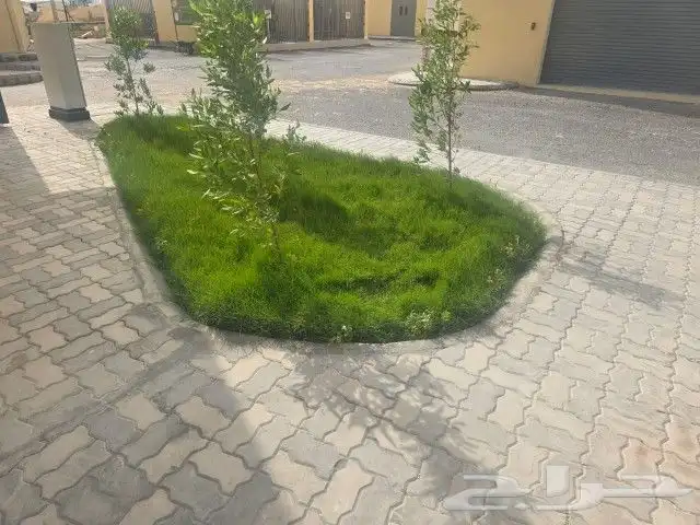 عشب طبيعي وزراعه اشجار 2