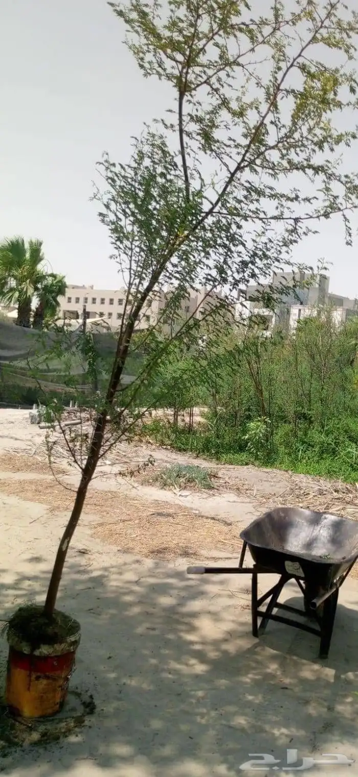 مشتل زراعي 0