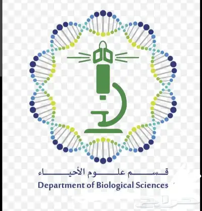 ميد أوشن  أبحاث ومشاريع ورسائل الماجستير والدكتوراه وكل شيئ 3