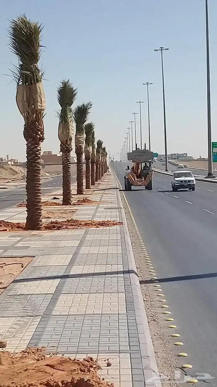 يوجد عربي وواشنطن 1