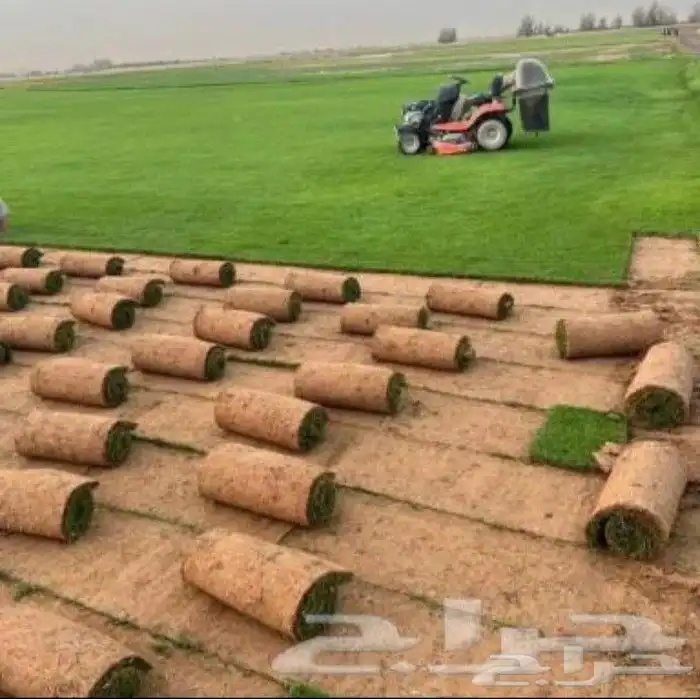 تنسيق حدائق ثيل طبيعي 2