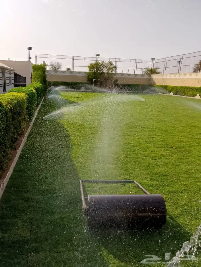 تنسيق حدائق ثيل طبيعي 1