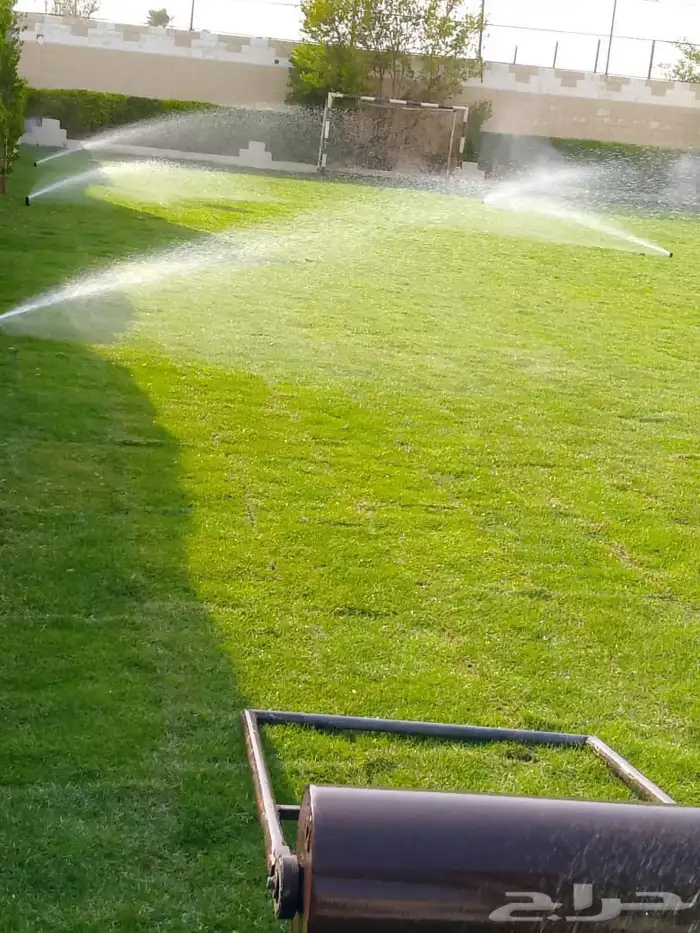 تنسيق حدائق ثيل طبيعي 3