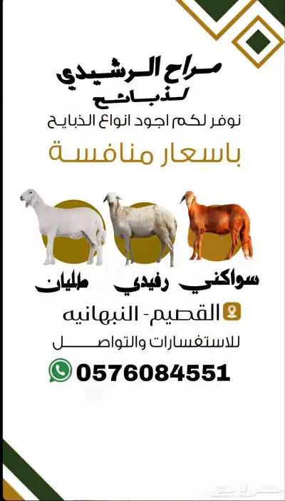 متوفر ذبايح 0
