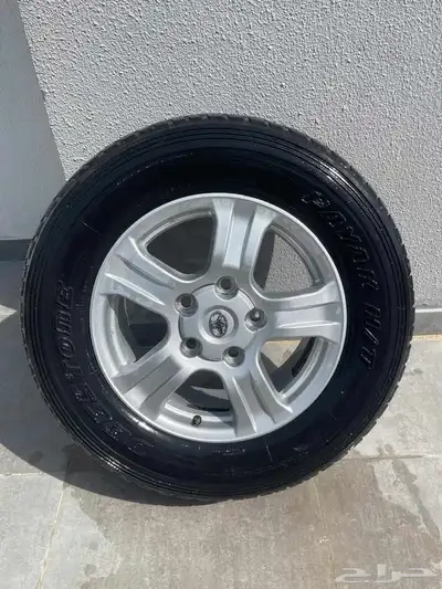 جنوط اسكويا 1