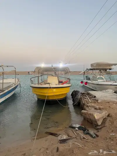 رحلات الصيد في الشعيبه المسدوده القطان 0