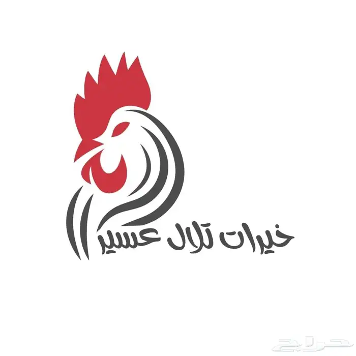 تصميم لوقو و هوية بصرية بحترافية 2