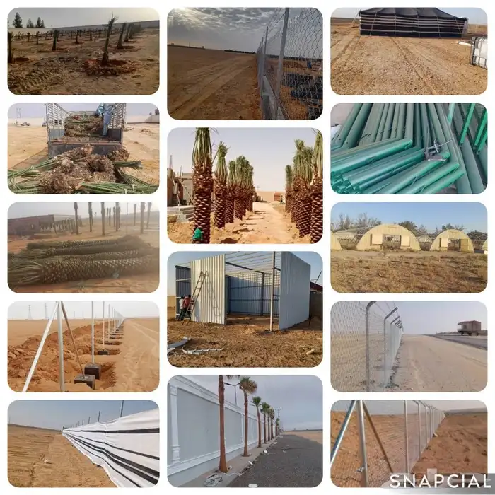 تركيب السياج الأمني الحديدي الشبوك للمزارع وو زراعه النخل 1
