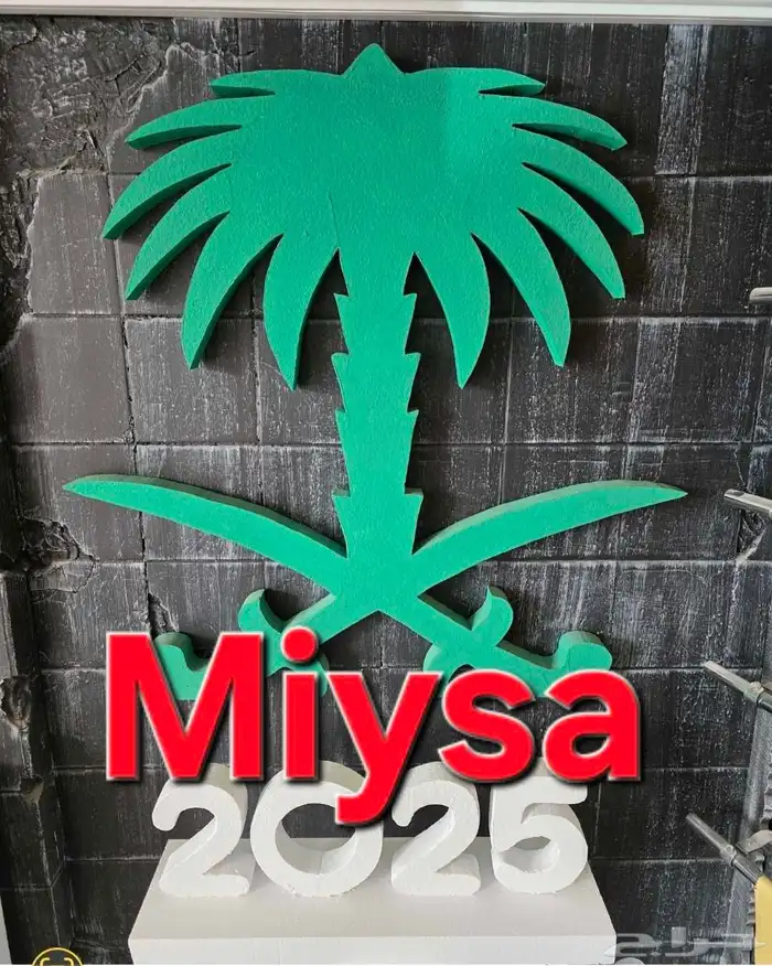 يوم الوطني السعودي..فلين 0