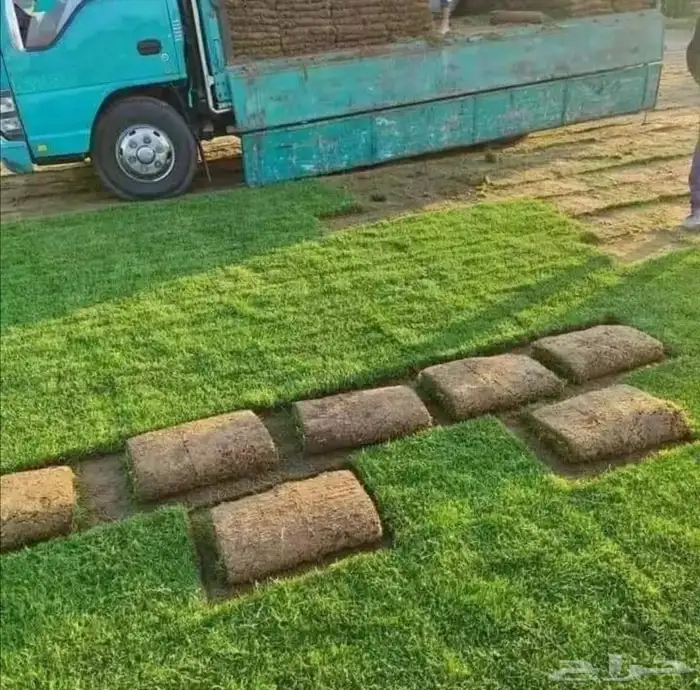 2024 0