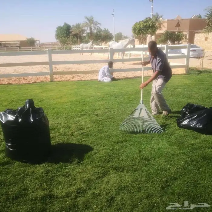 تنسيق حدائق 6