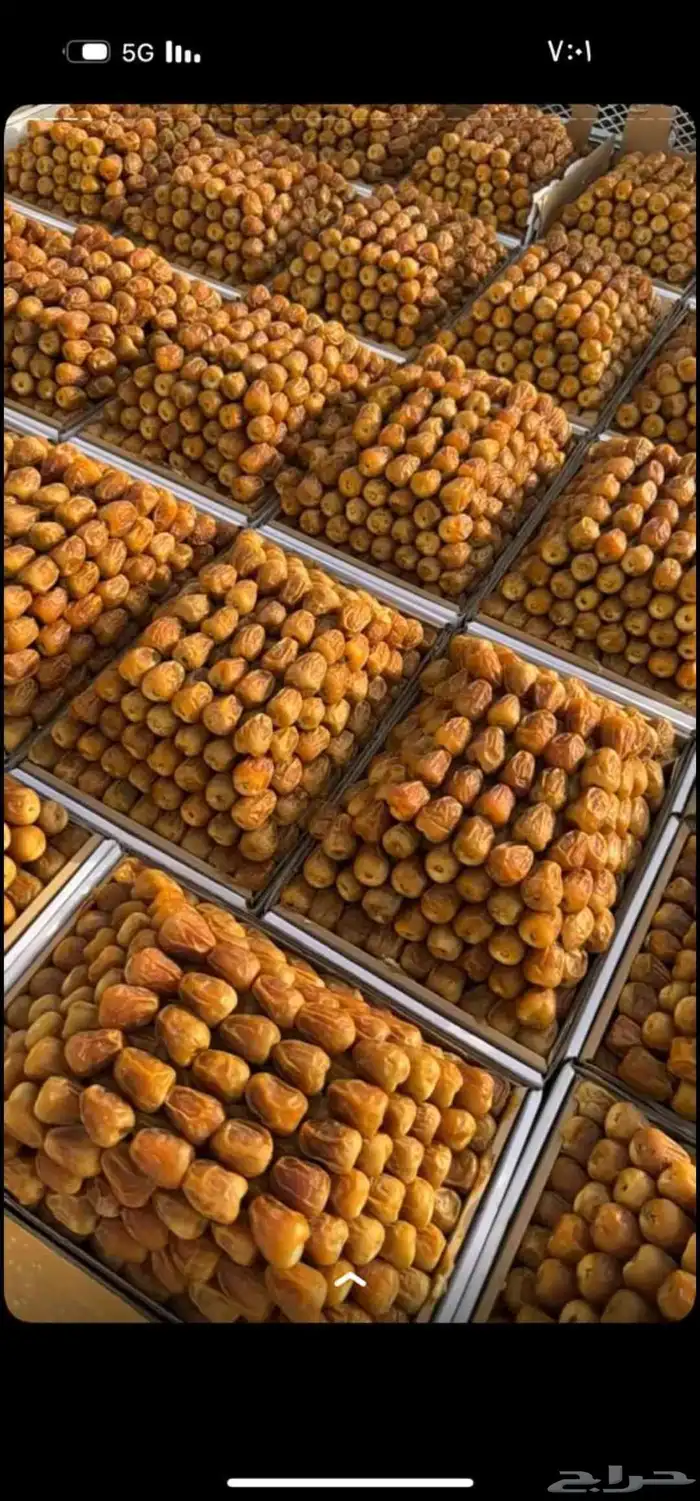 تمور ملكيه 0