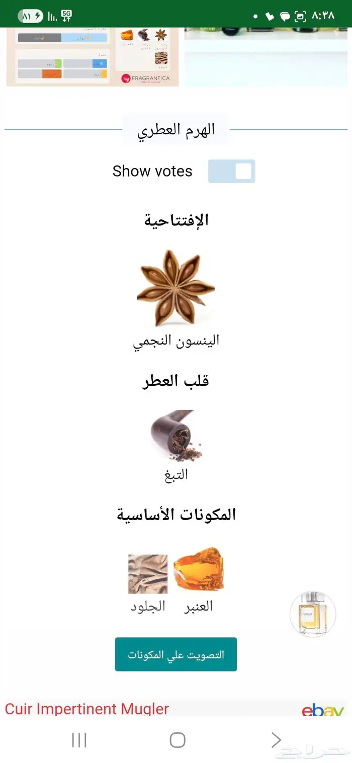 عطر موجلر كوير 6