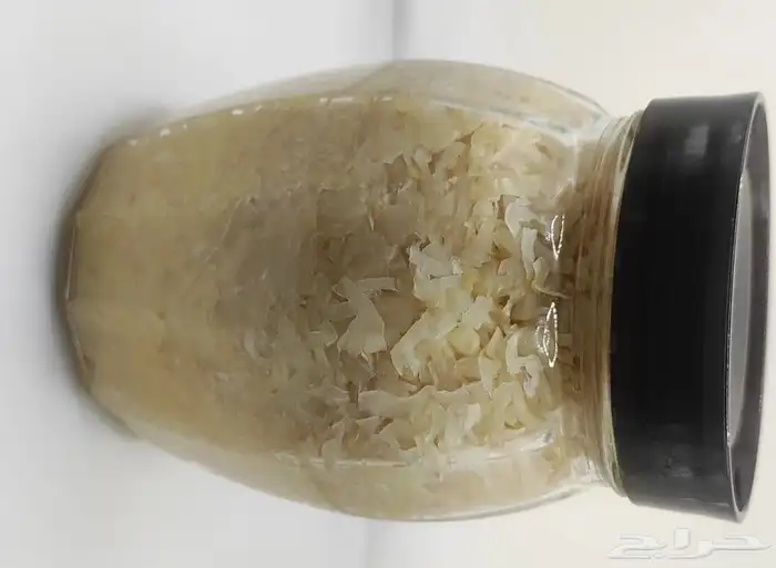 مخمر الملفوف 0