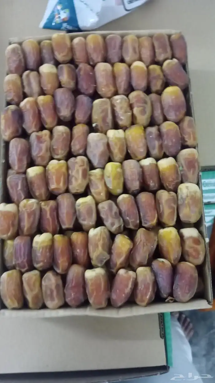 يوجد لدينا جميع انواع التمور والنخيل الفاخرة 2