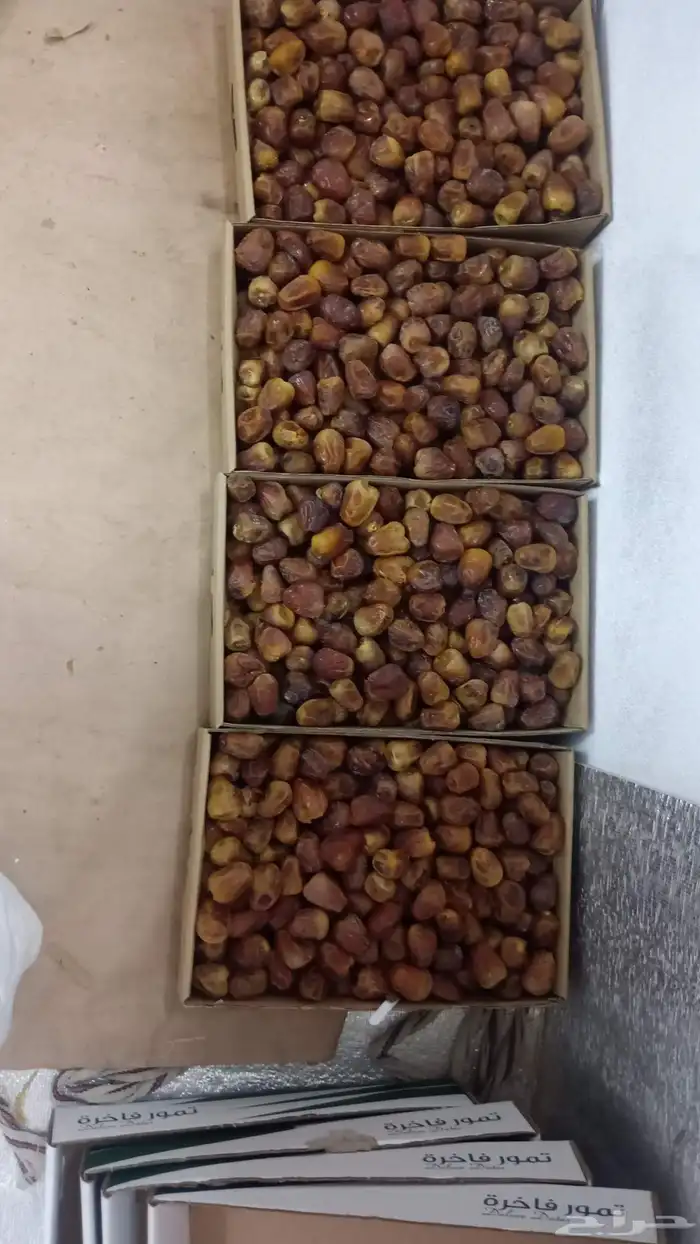 يوجد لدينا جميع انواع التمور والنخيل الفاخرة 1