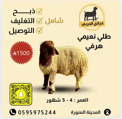 طليان نعيمي ذبايح ( شامل الذبح والتغليف التوصيل ) index