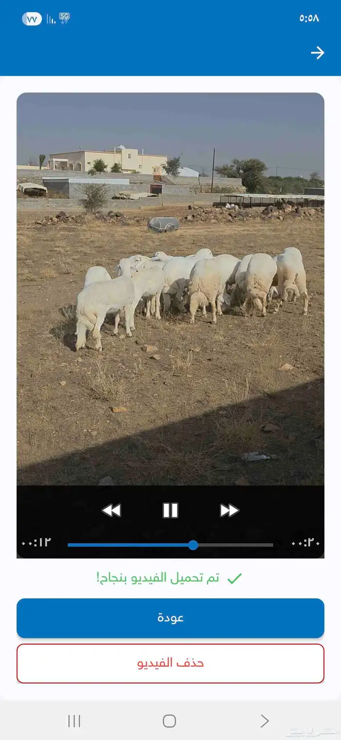 خرفان جبر ناهي للمناسبات 0