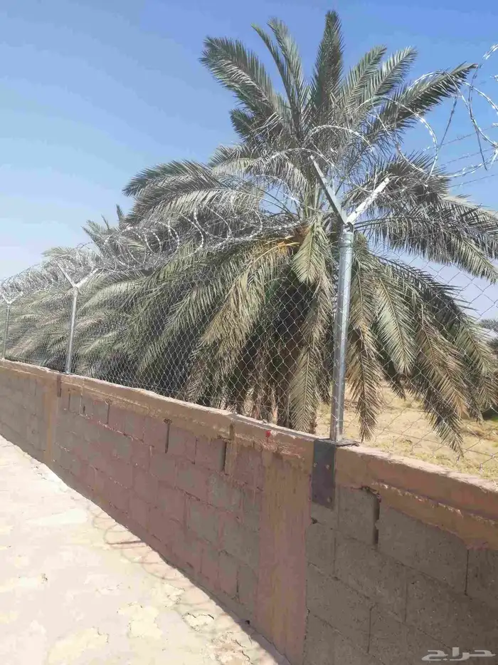 مقاول تركيب شبوك 0