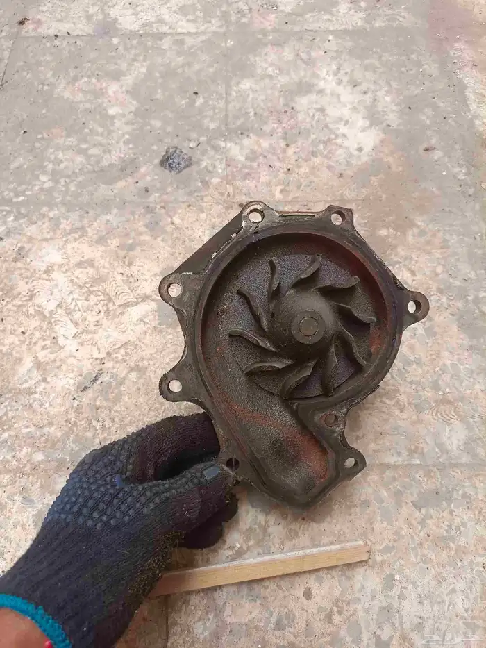 قطع دينا ايسوزو 15