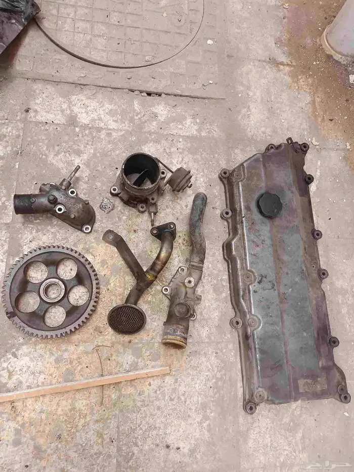 قطع دينا ايسوزو 13