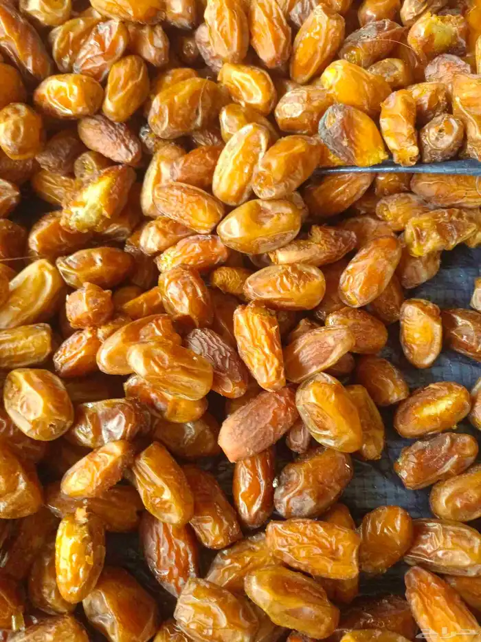 تمر البيع 1