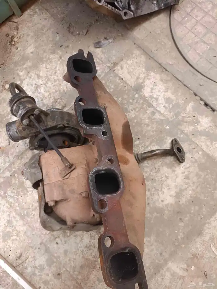قطع دينا ايسوزو 1