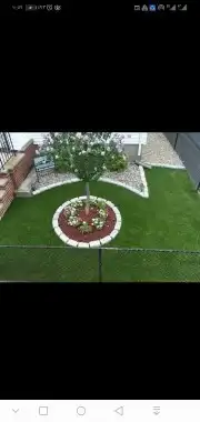 م ابو احمد تنسيق حدائق وتركيب جميع انواع الثيل الصناعى والطب 2