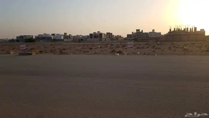 الدلم من المالك (لايتصل الا الجاد) 2
