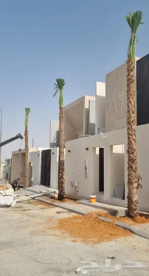 زراعةالنخيل.وتركبب.الشبوك 1