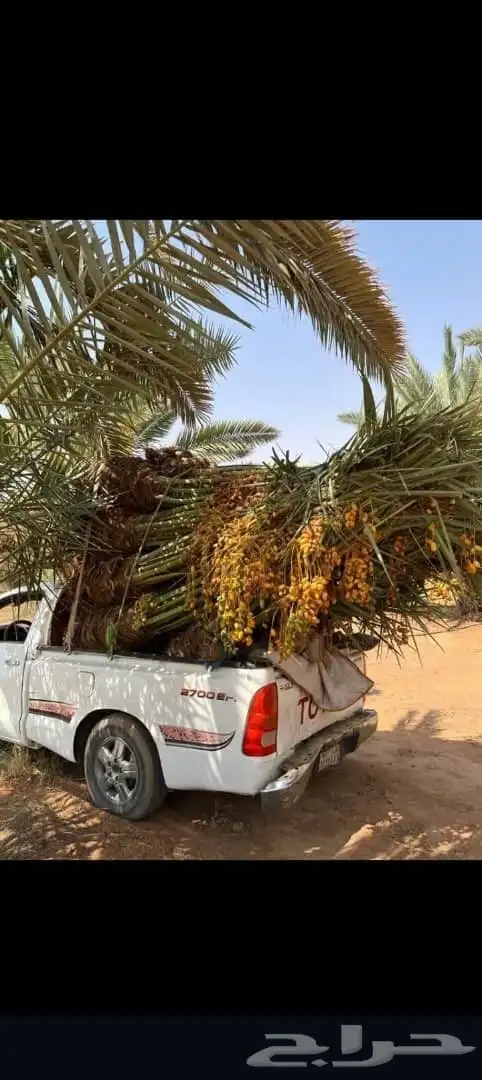 السلام عليكم ورحمة الله وبركاته 5