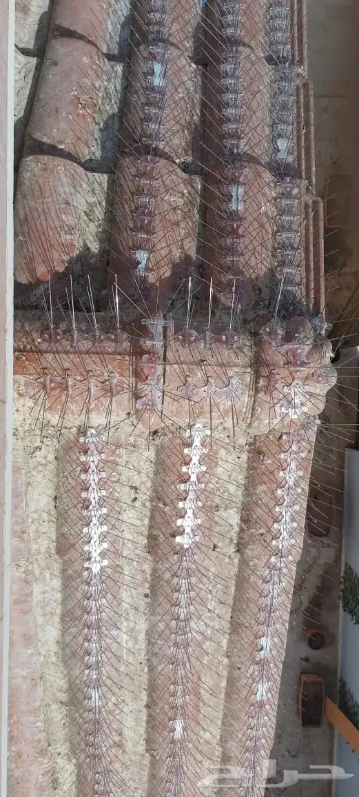 غطاء مكيفات فيبر جلاس خارجية طارد الحمام 7