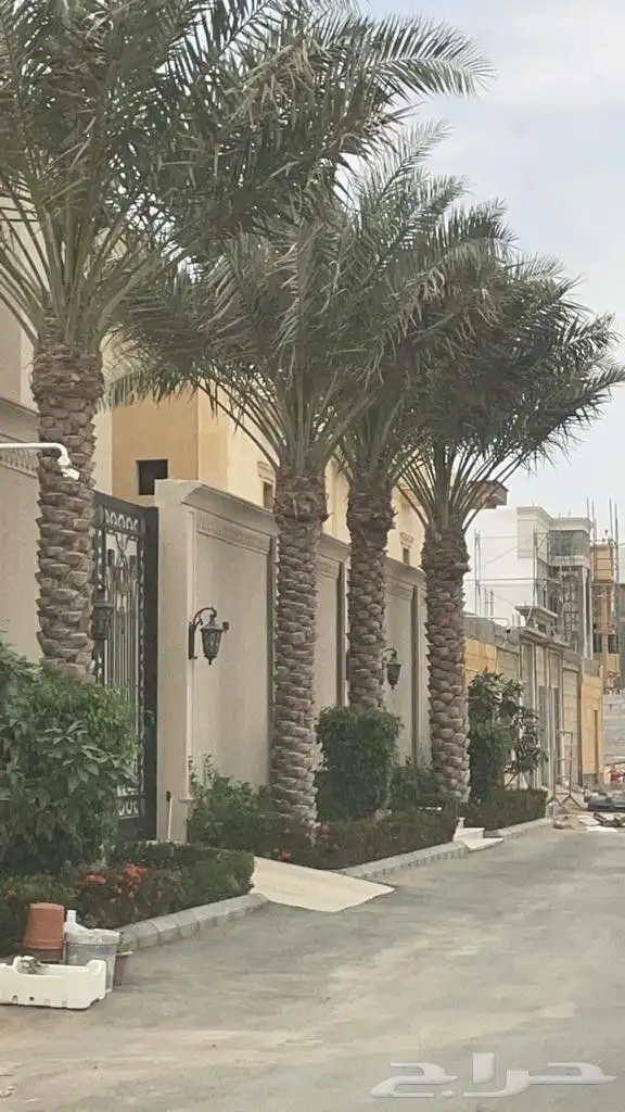 مشتل زراعة 6