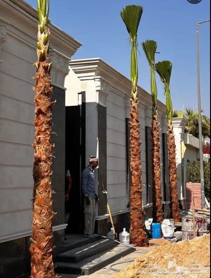 زراعةالنخيل.وتركبب.الشبوك 9