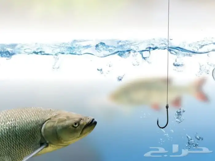 دورة تعليم صيد الاسماك 2