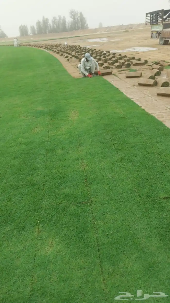 م ابو احمد تنسيق حدائق وتركيب جميع انواع الثيل الصناعى والطب 1