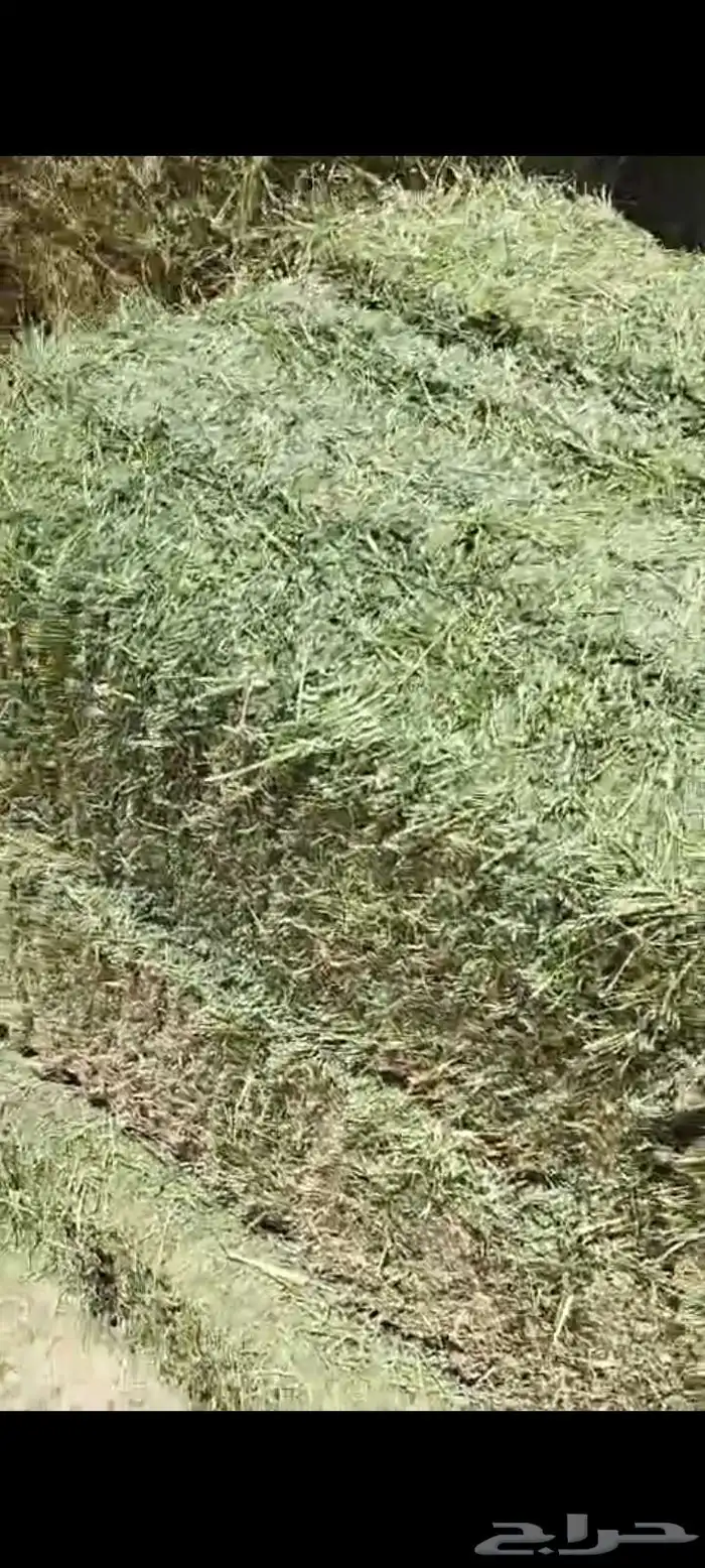 اعلاف 0