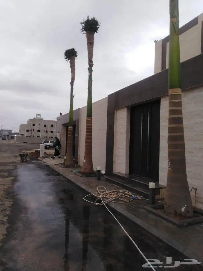 مشتل زراعة 5