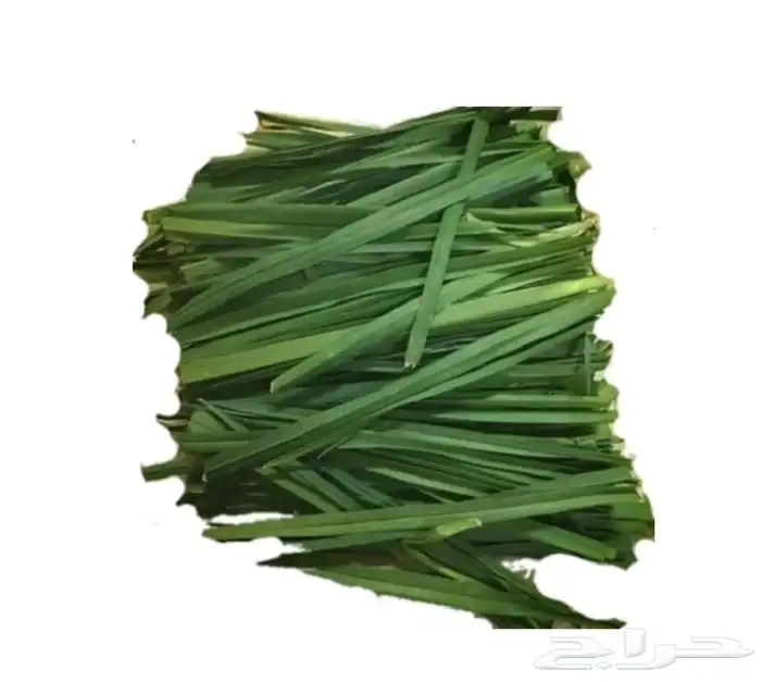 توفير كرات في القصيم 0