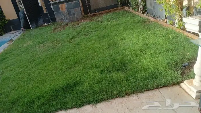 تنسيق حداىق 0