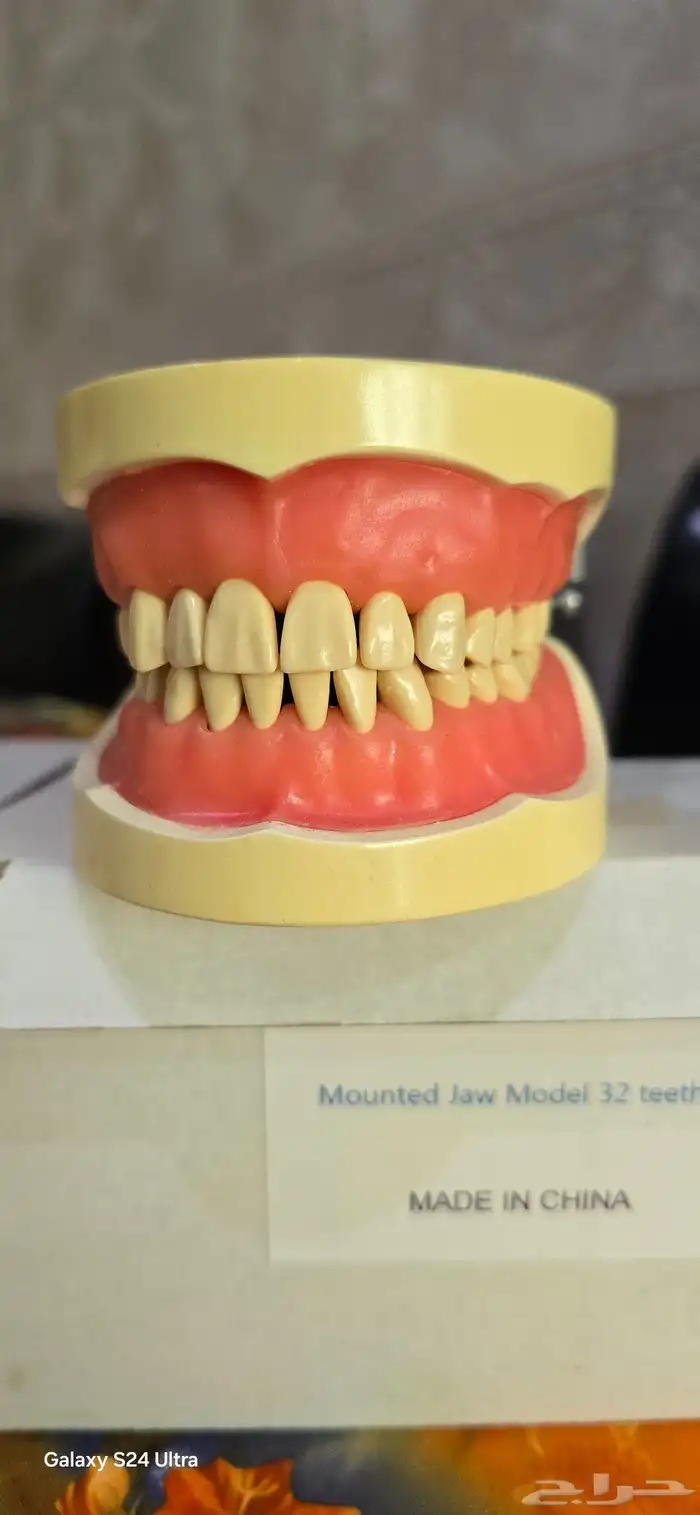 أدوات دراسية لطب الأسنان 1
