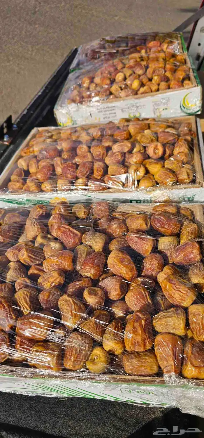 الدوادمي سكري مفتل فاخر ماشاءالله 0