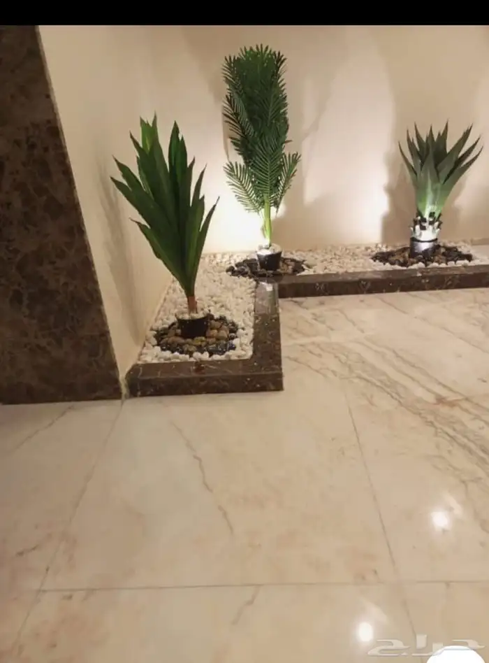 تنسيق حدائق زهرة الروضه الخضراء 1