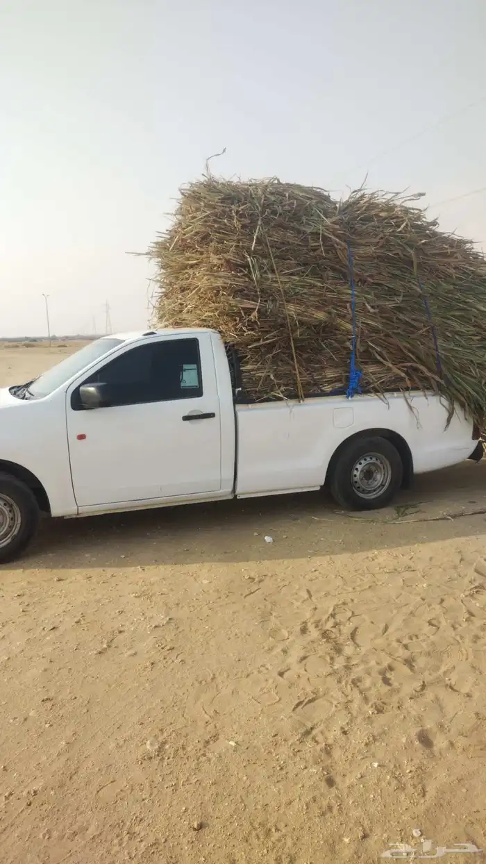 ونيت غماره طابق محايل بارق مجارده القنفذه جيزان حلي القوز 7