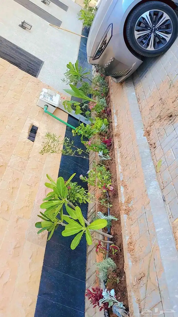 مشتل زراعي 2