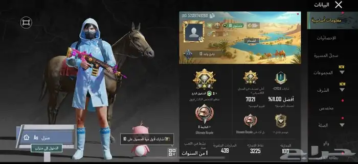 ببجي 2