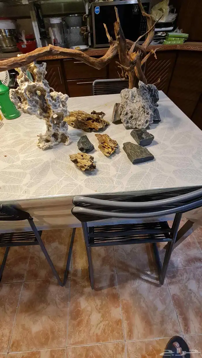 اغراض حوض سمك 0