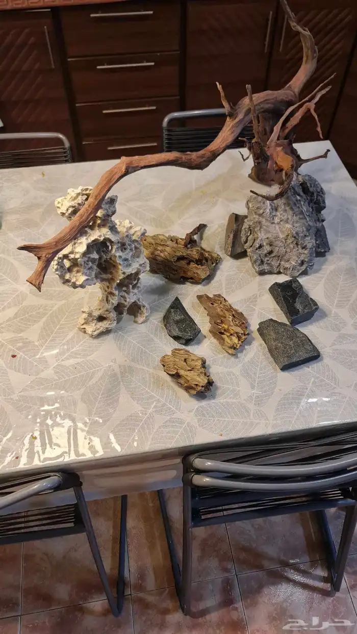 اغراض حوض سمك 1