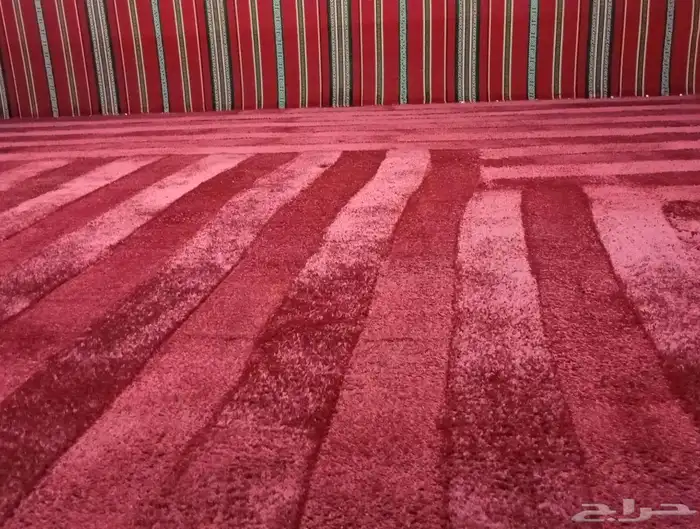 شركة تنظيف بالجبيل 44