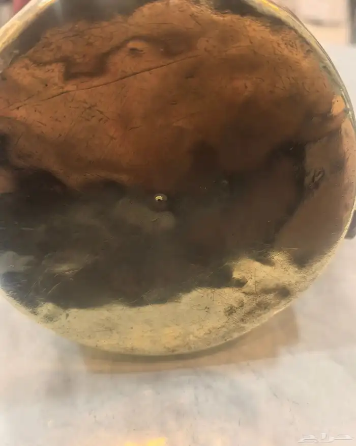 للبيع دلة رسلان ختم صالح 4